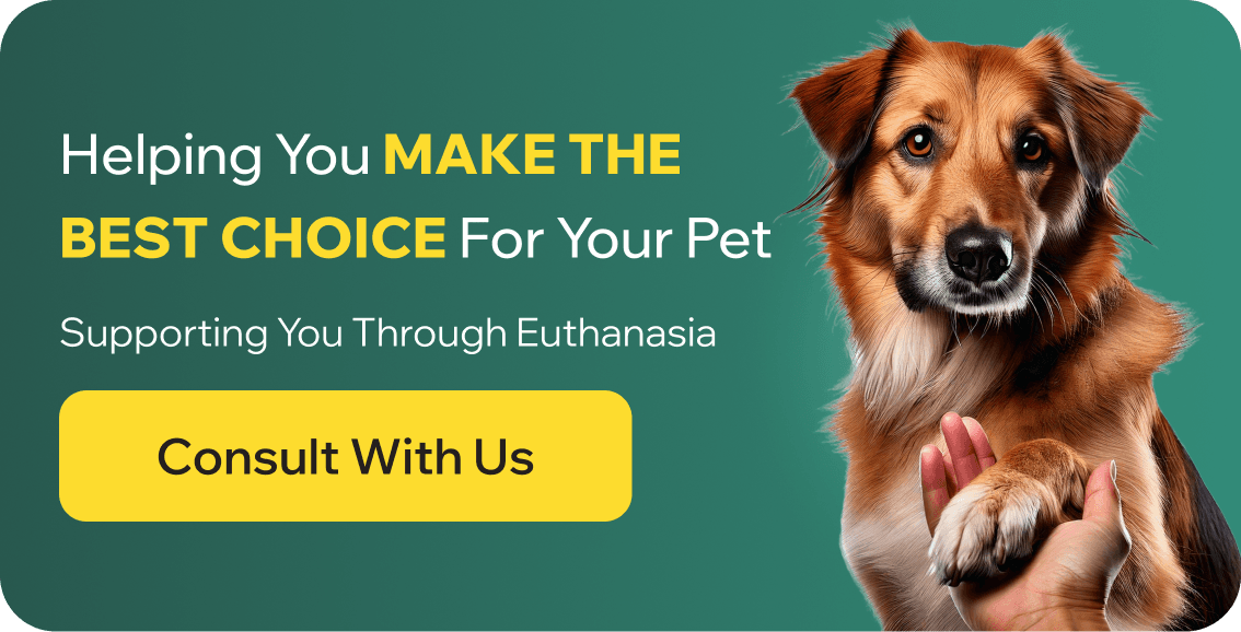 Euthanasia