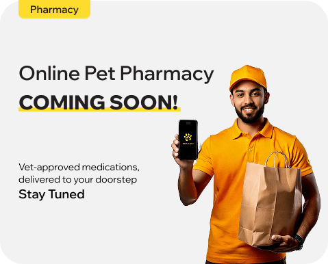 Pharmacy