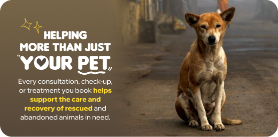 Helping your pet